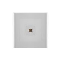 TV In Large Dolly Plate