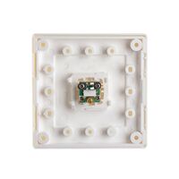 TV In Large Dolly Plate