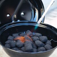 Super Weed Killer/Heat Wand