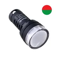 Direct Wire 24V AC/DC Pilot Light Dual Colour Red/Green