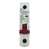 DIN Isolator 80A 1P