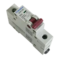 DIN Isolator 80A 1P