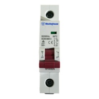 DIN Isolator 110A 1P