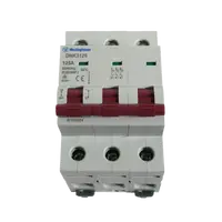 DIN Isolator 125A 3P