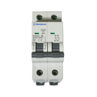 MCB 20A 2P C Curve 6kA
