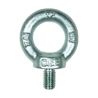 Lifting Eyebolts (4 Pieces)