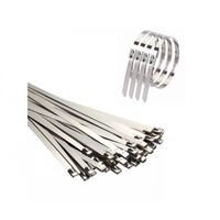 Stainless Steel Cable Tie 100mm x 4.6mm | Corrosion Resistant | Durable & Strong | 100 Pack by Tuff