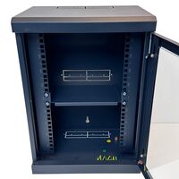 10'' 9RU 250mm Pre-assembled Wall-Mount Data Cabinet