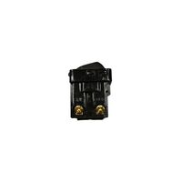 Switch Mechanism | Double Pole | 16A 250VAC | Black