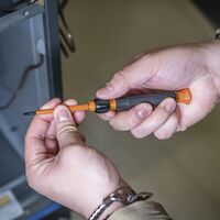 2-in-1 Insulated Electronics Screwdriver, Phillips, Slotted Bits