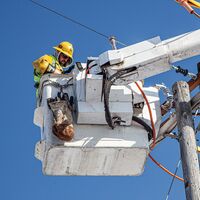 Canvas Bucket, Leather Bottom, Swivel Snap, 30.5 cm