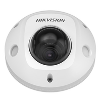 2MP Dome Security Camera | IK10 Vandal Resistant | IP67 Water & Dust Resistant | Inbuilt Mic | by Dicker Data