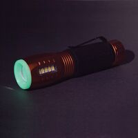 LED Torch with Work Light