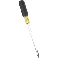 1 cm Keystone Screwdriver, 31 cm Square Shank