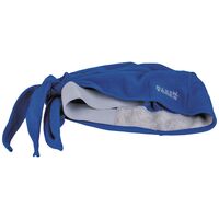 Cooling Bandana, Blue, 2-Pack
