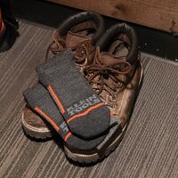 Performance Thermal Socks, L