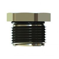 Hazardous Brass Plug M12 Thread Length 15.5mm