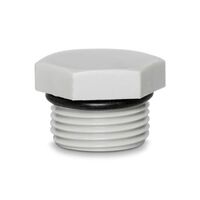Blind Plug Nylon M20 Hexagon Head Light Grey