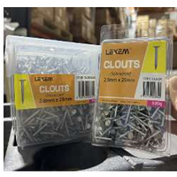CLOUTS 2.8mmx25mm Steel Nails | Large Flat Head | 5kg Bulk Pack | by LEXEM