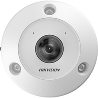 9MP Fisheye Camera | 2mm Panoramic Lens | IR 15M | IP67 & IK10 Rated | by HIKVISION