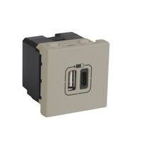 Arteor™ - 1 USB Type-A + 1 USB Type-C charging socket 3 A / 15 W 230 V - 5 V= - 2 modules - Champagne