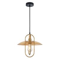 PAPILLON: Interior Oblong Iron with Glass Coolie Pendant Lights