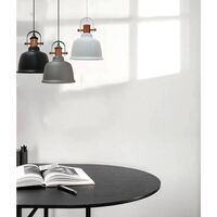 ALTA: Industrial Bell Shape With Copper Highlights Pendant Lights