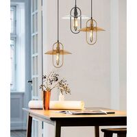 PAPILLON: Interior Oblong Iron with Glass Coolie Pendant Lights
