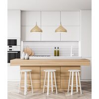 ZARA: Modern Dome Shape Pendant Lights