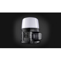 Site Light