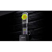 Compact Detailing Light