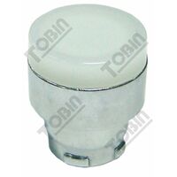 Pushbutton Illuminated White | 22mm Mounting Diameter | Durable Design for Industrial Use | by Tobin