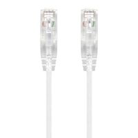 Ultra Slim Cat6 Network Cable | 0.30m Length | 28AWG 100% Copper | 50u Gold Plated Connectors | by SERVEREDGE