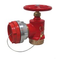 Fire Hydrant Landing Valve with FORGED Storz Adapter | Plastic Blanking Cap Included | Durable Construction | by Fire Factory Australia