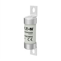 63M100 500V AC INDUSTRIAL (63M100 500V AC INDUSTRIAL (BAO63M100))