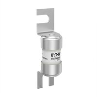 6A 240V AC INDUSTRIAL FUSE (6A 240V AC INDUSTRIAL FUSE (LST6))