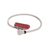Allen-Bradley 1492CABLE005TBNH Digital Cable 0.5m