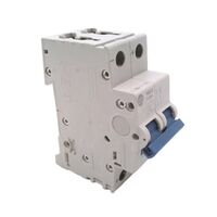 Allen-Bradley 1492D2C200 Miniature Circuit Breaker 2 Pole 20A