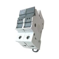 Allen-Bradley 1492FB2M30L 2 Pole Fuse Holder with LED Indicator