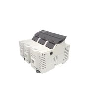 Allen-Bradley 1492FB3J60L 3 Pole Fuse Holder with LED Indicator