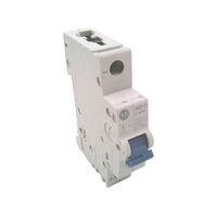 Allen-Bradley 1492D1C400 Miniature Circuit Breaker 40 Amp 1 Pole DC C-Curve