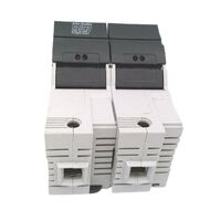 Allen-Bradley 1492FB2J60L 2 Pole Fuse Holder with LED Indicator