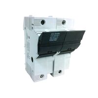 Allen-Bradley 1492FB2J60L 2 Pole Fuse Holder with LED Indicator