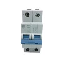 Allen-Bradley 1492D2C060 Miniature Circuit Breaker 2 Pole 6 Amp