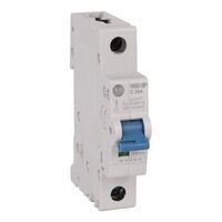 Allen-Bradley 1492SPM1D020 Miniature Circuit Breaker 2 Amp 1 Pole