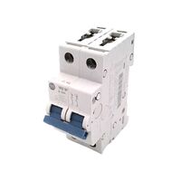 Allen-Bradley 1492SPM2D200 Supplementary Protector 20 Amp 2 Pole
