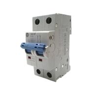 Allen-Bradley 1492SPM2B040 Supplementary Protector 2 Pole 4 Amp