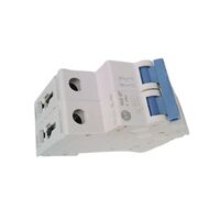 Allen-Bradley 1492SPM2C200 Supplementary Protector 2 Pole 20 Amp