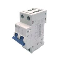 Allen-Bradley 1492SPM2C320 Supplementary Protector 32 Amp 2 Pole