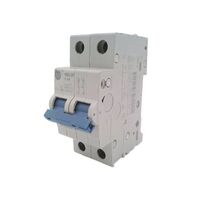 Allen-Bradley 1492SPM2C050 Supplementary Protector 2 Pole 5 Amp
